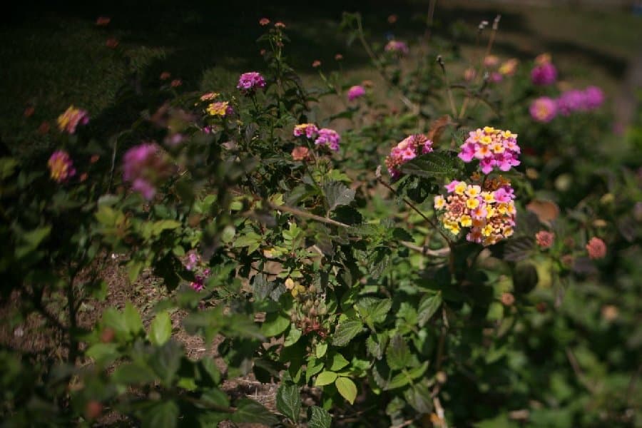 Турция — фото 141