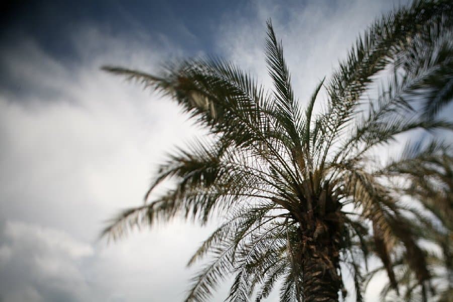 Турция — фото 142