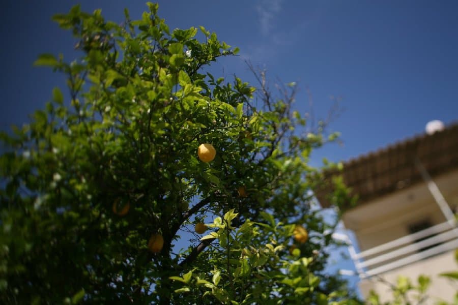 Турция — фото 150