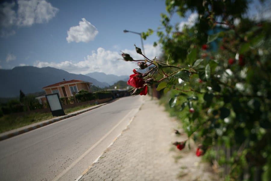 Турция — фото 151