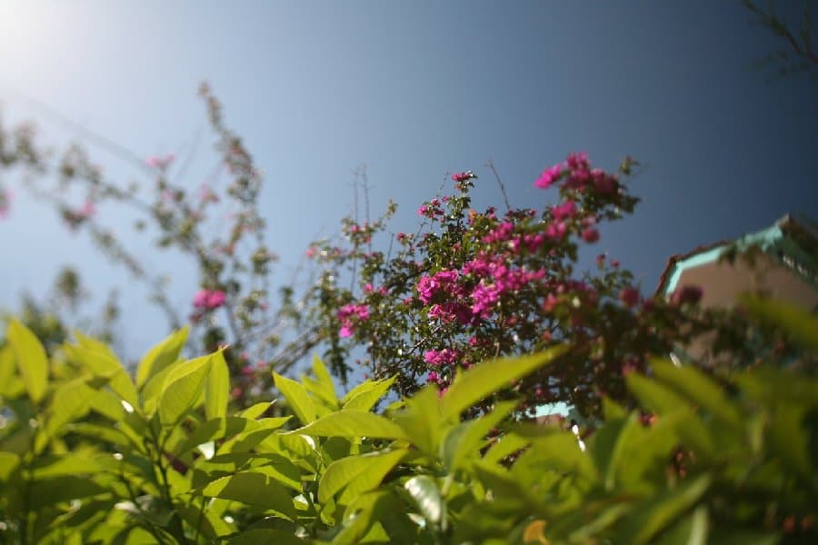 Турция — фото 153