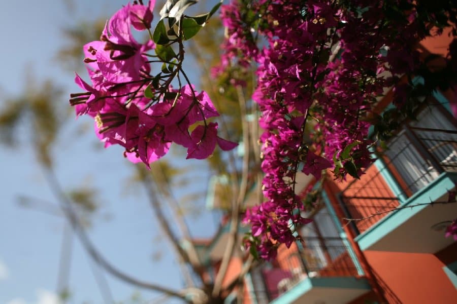 Турция — фото 154