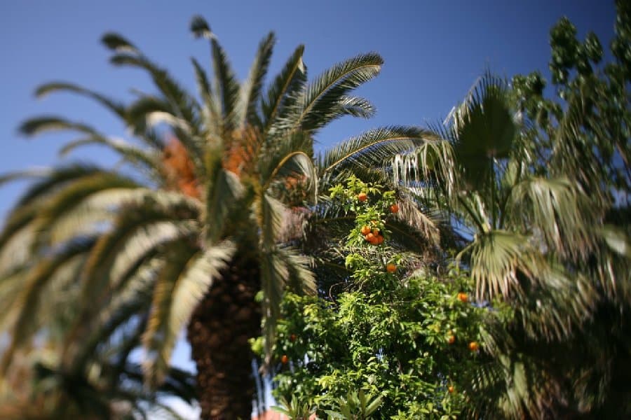 Турция — фото 155