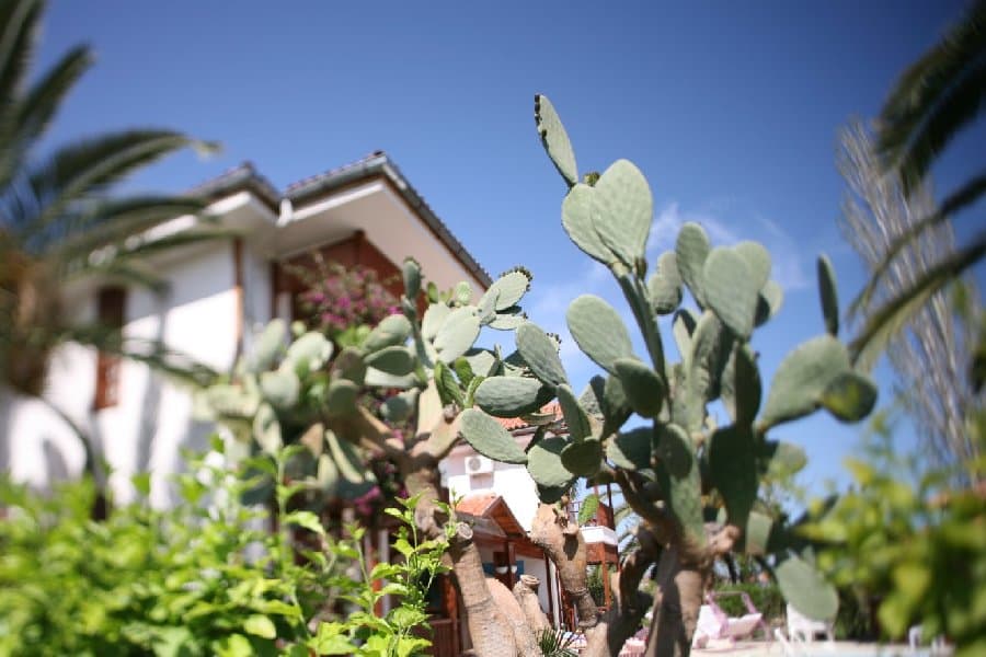 Турция — фото 156