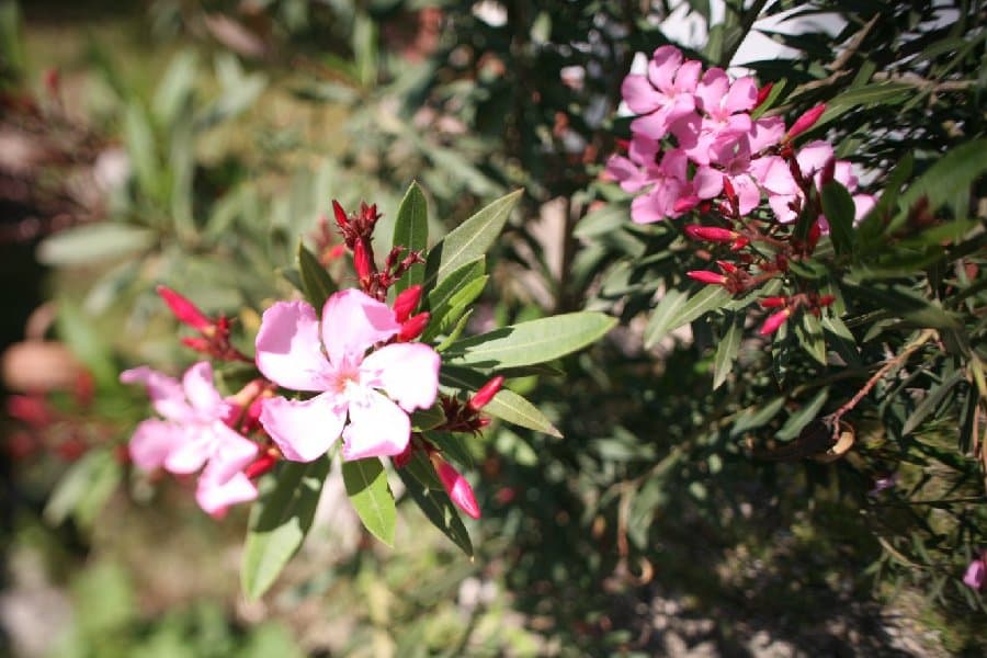 Турция — фото 157