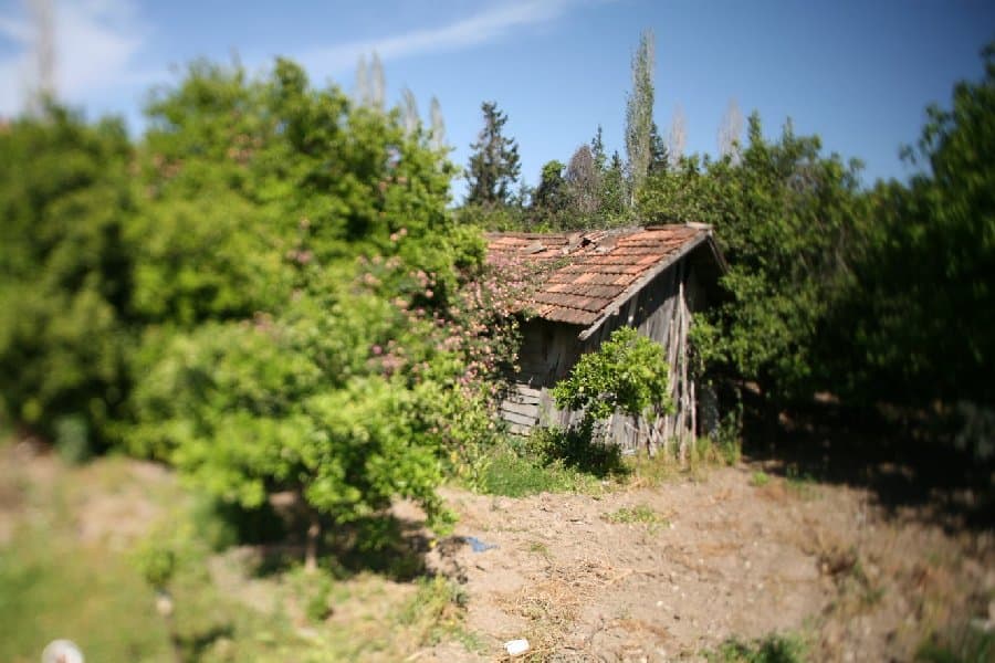 Турция — фото 158