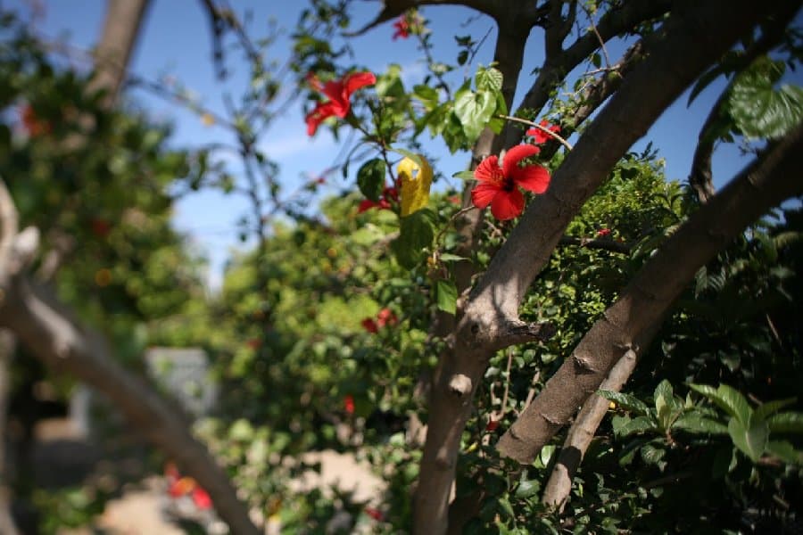 Турция — фото 160