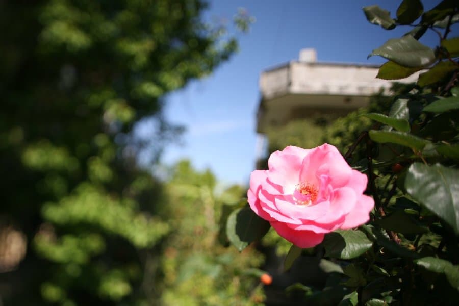 Турция — фото 161