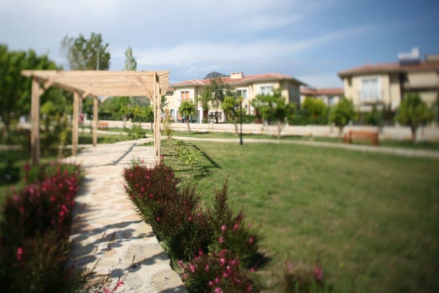 Турция — фото 164