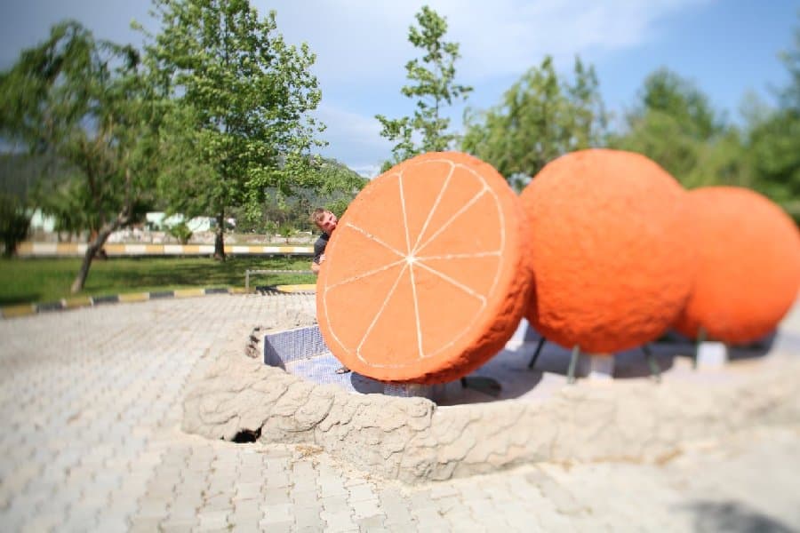 Турция — фото 168