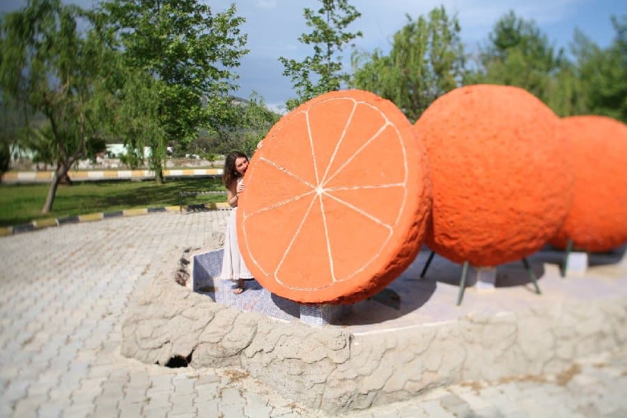 Турция — фото 169