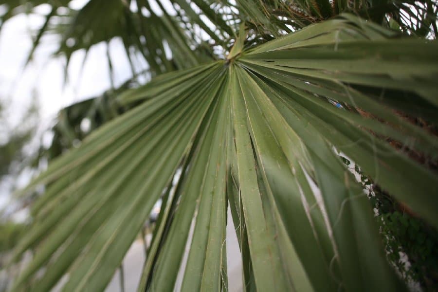 Турция — фото 190