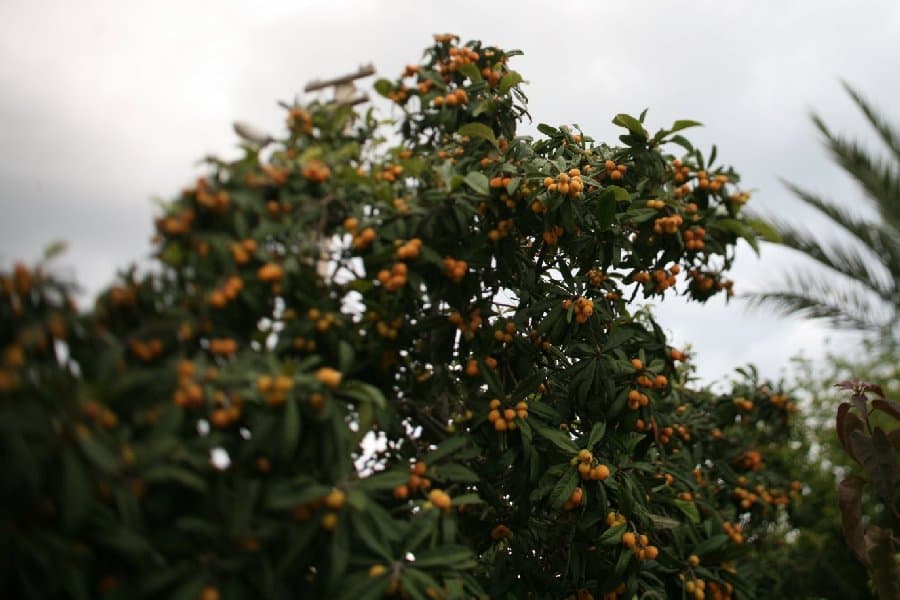 Турция — фото 191