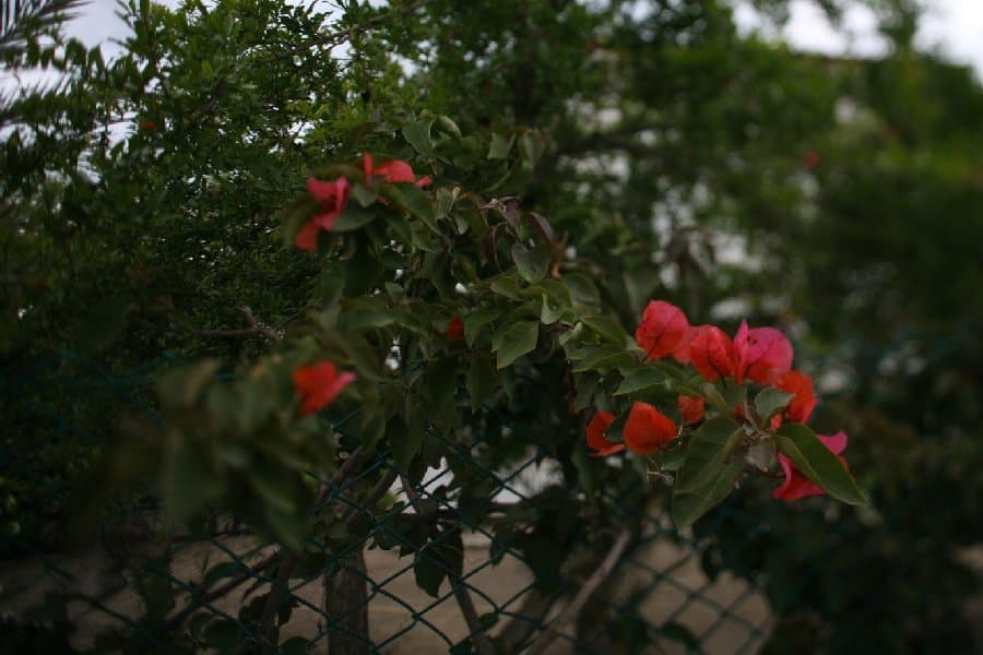 Турция — фото 192