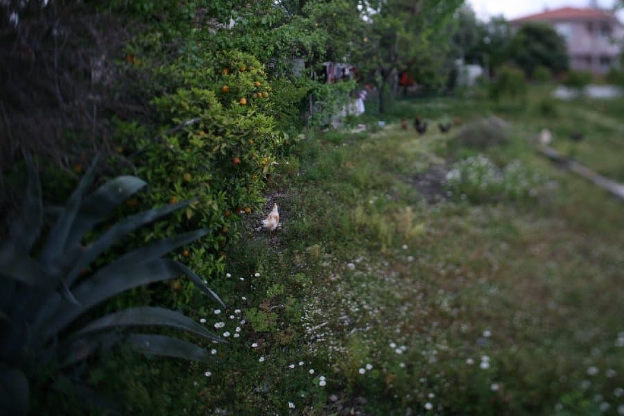 Турция — фото 195