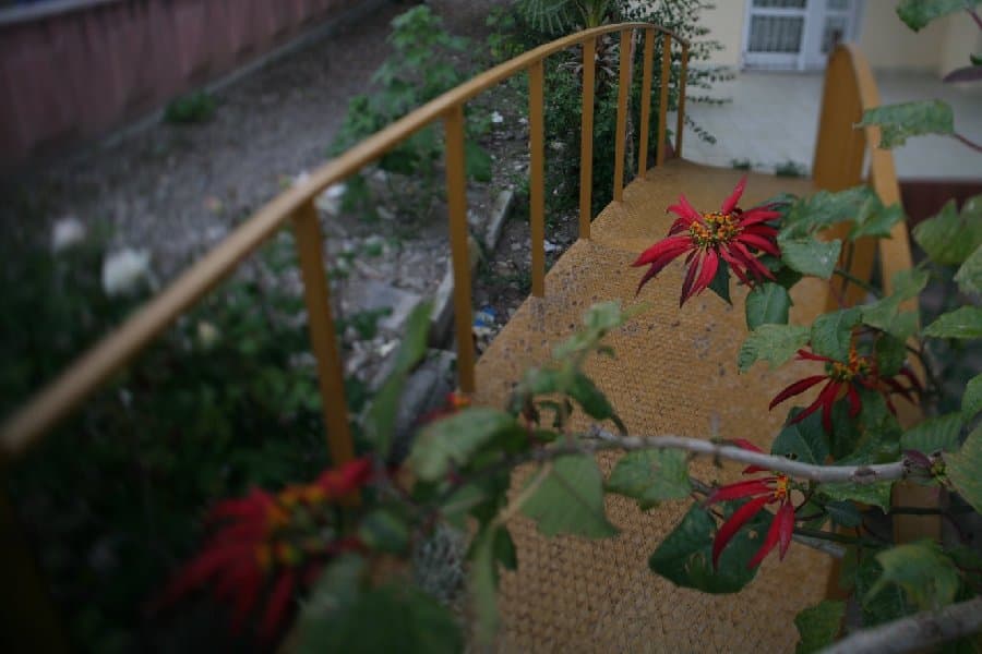 Турция — фото 196