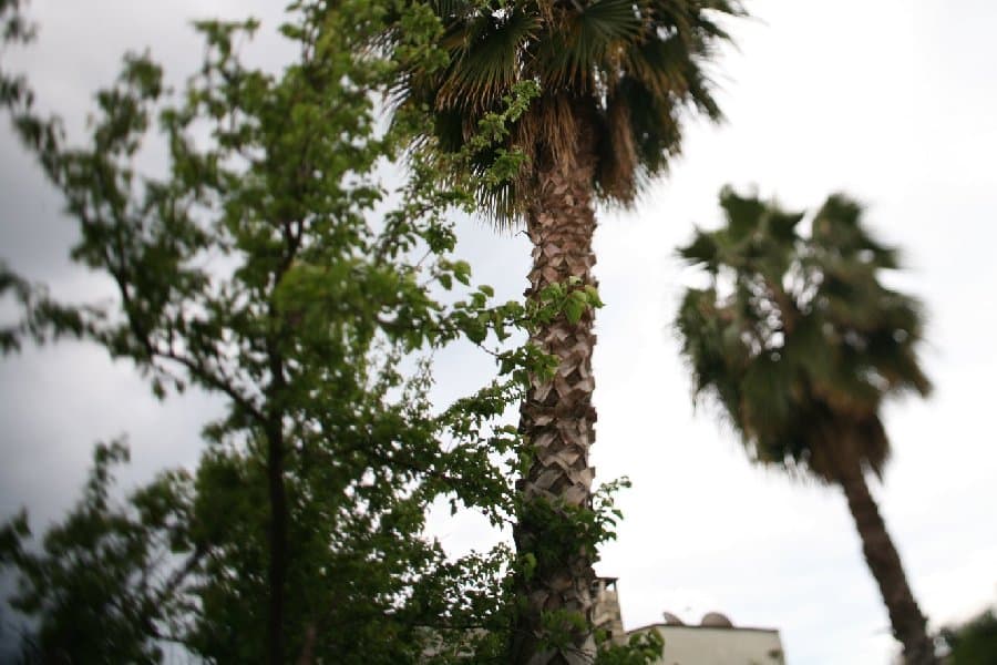 Турция — фото 197