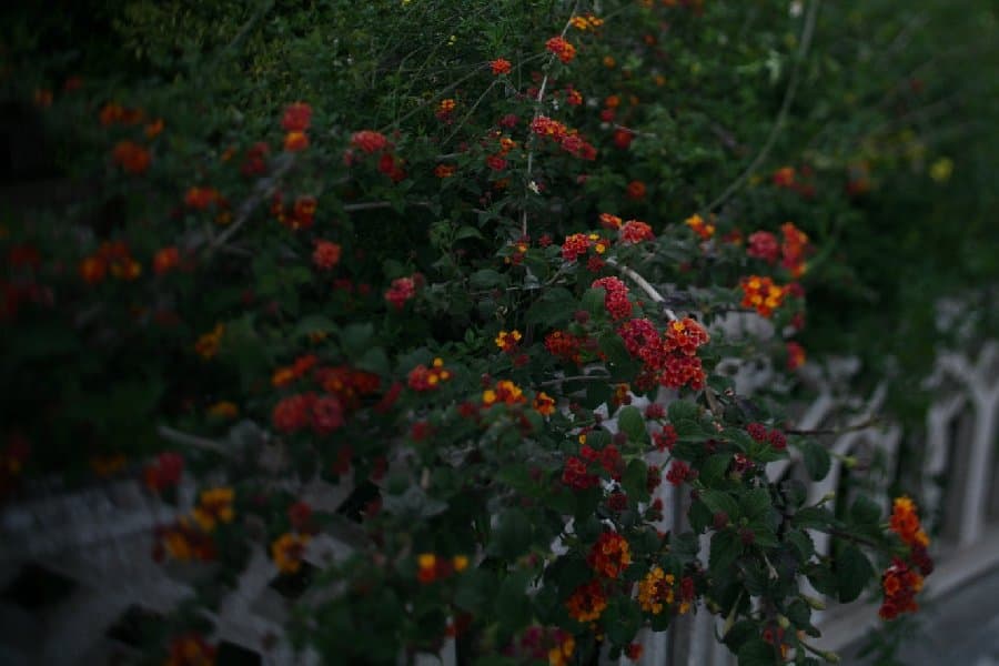 Турция — фото 198