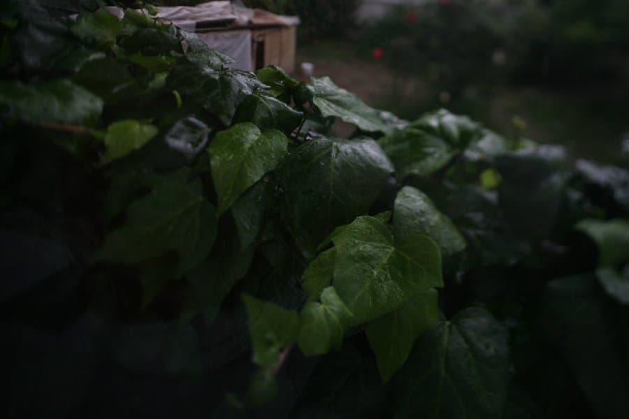 Турция — фото 200