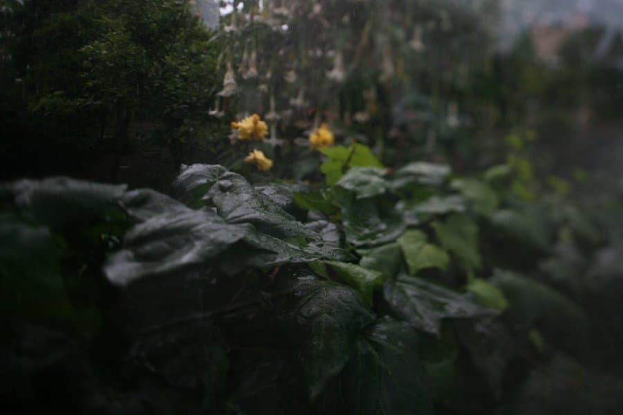 Турция — фото 201