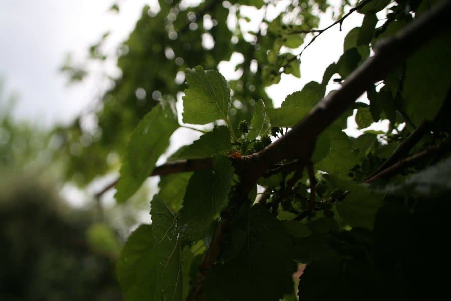 Турция — фото 203