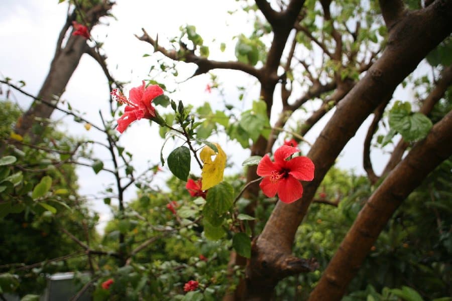 Турция — фото 204