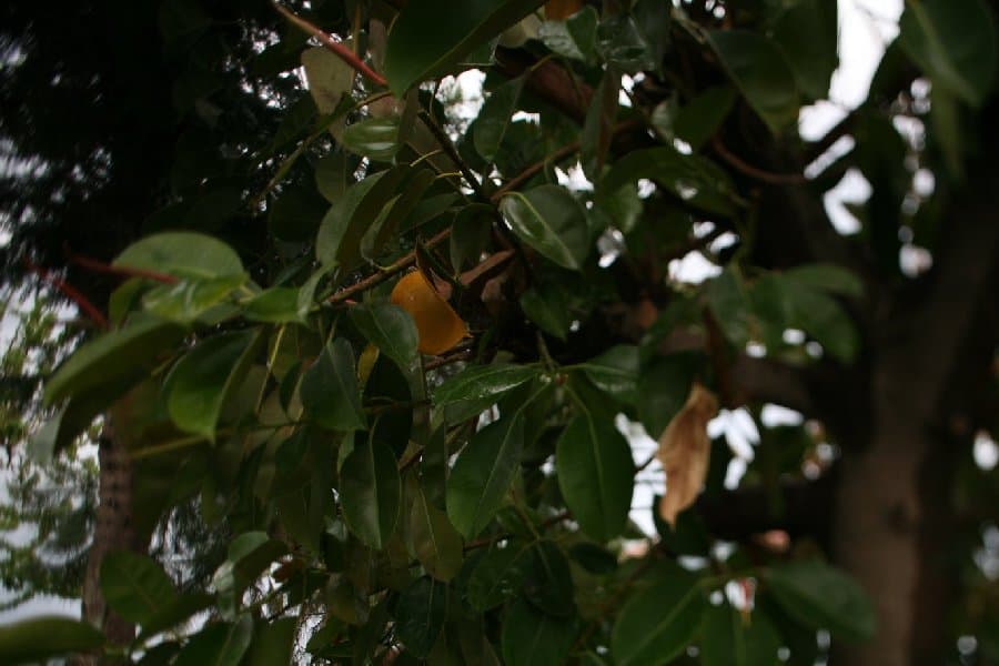 Турция — фото 205