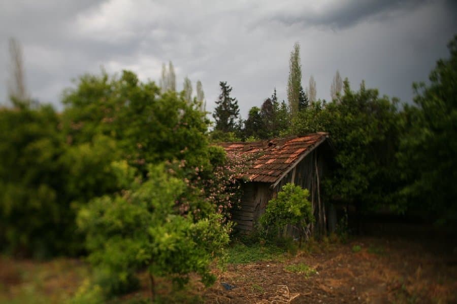 Турция — фото 206