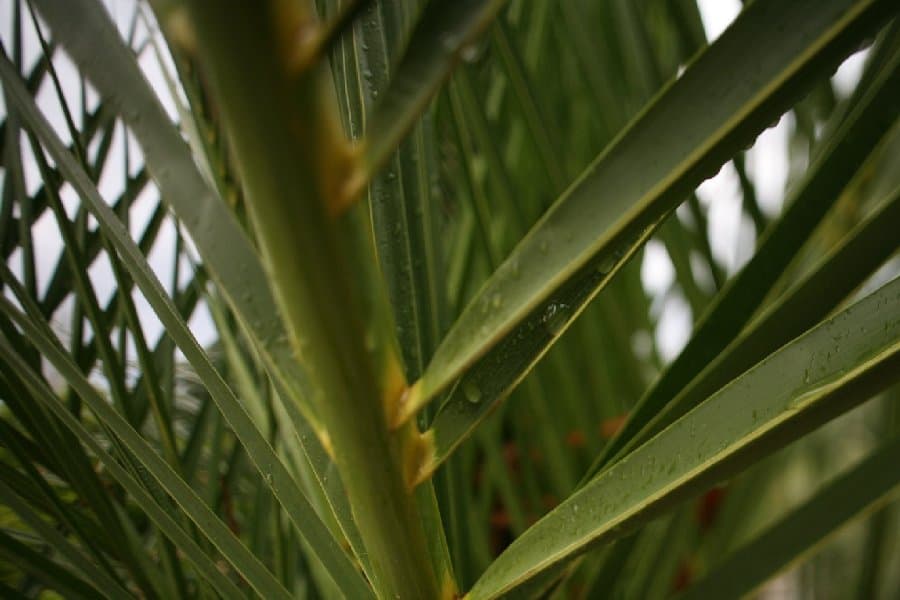 Турция — фото 207