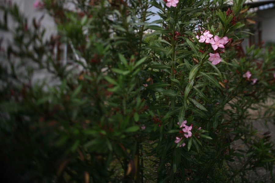 Турция — фото 210