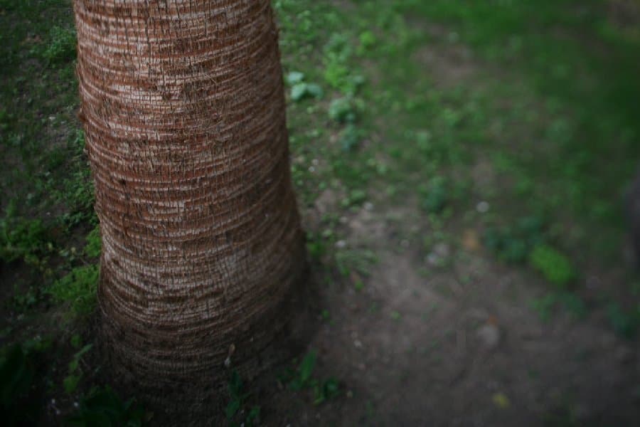 Турция — фото 211