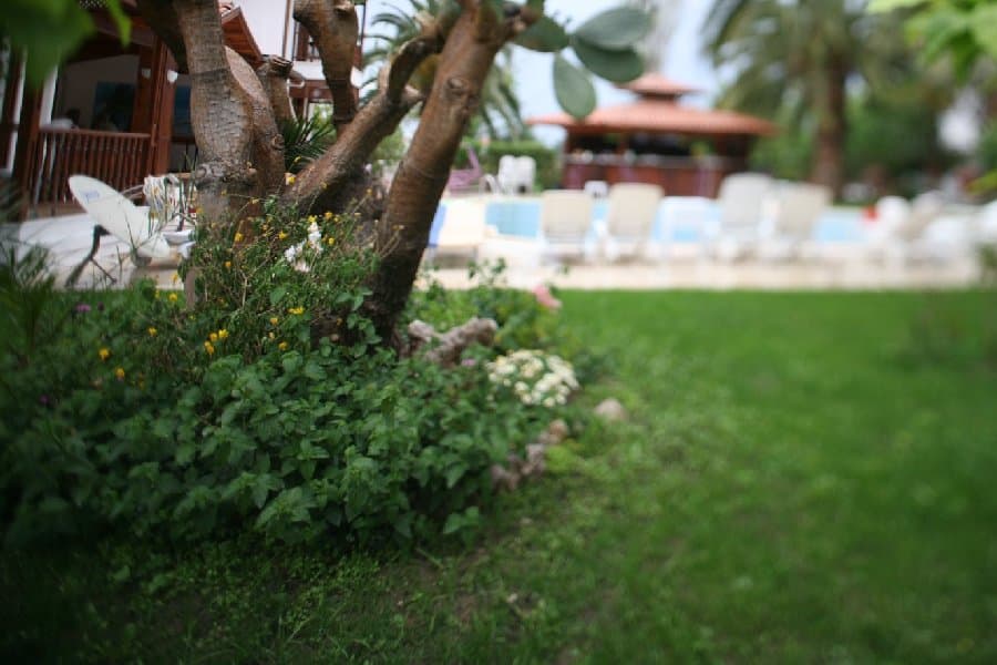 Турция — фото 212