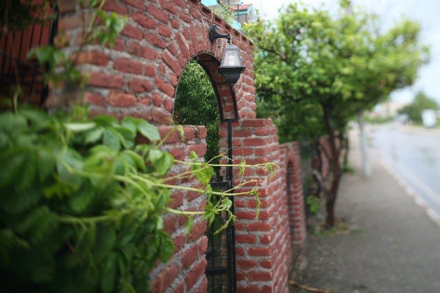 Турция — фото 213