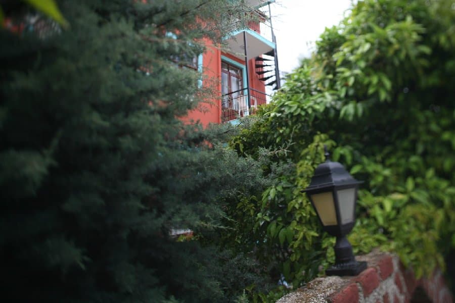 Турция — фото 215