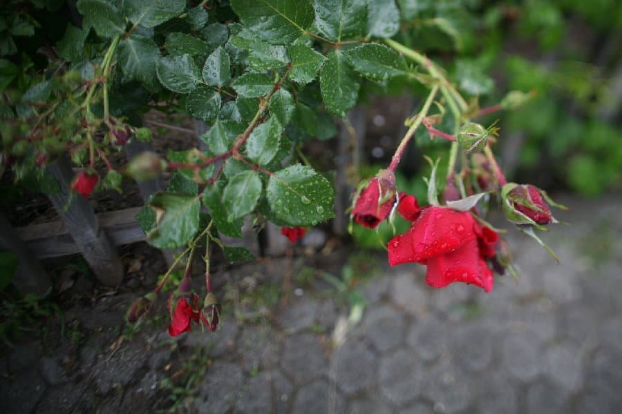 Турция — фото 217