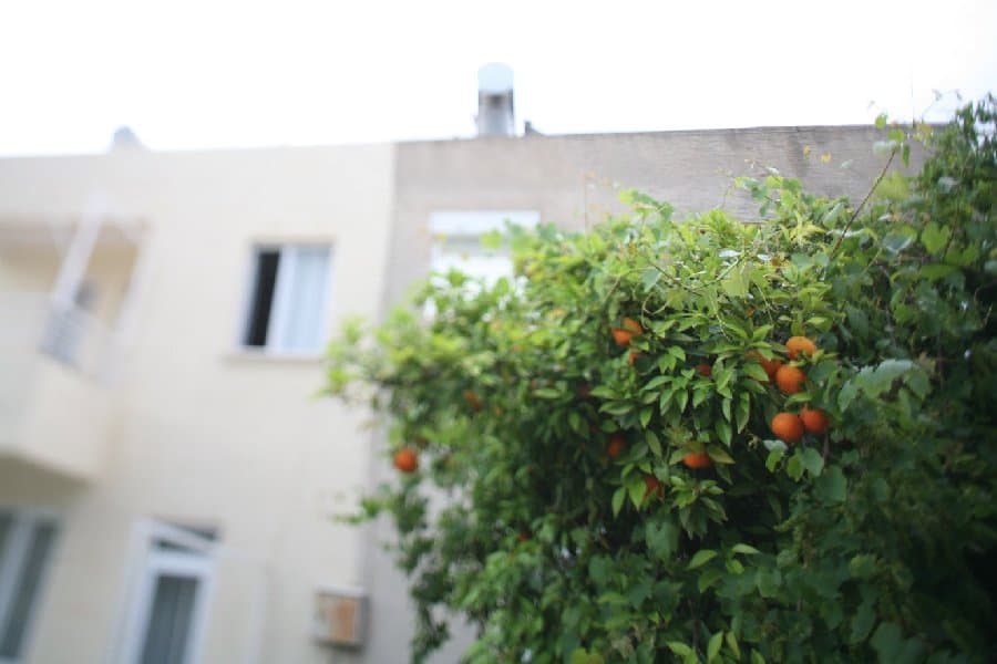 Турция — фото 218