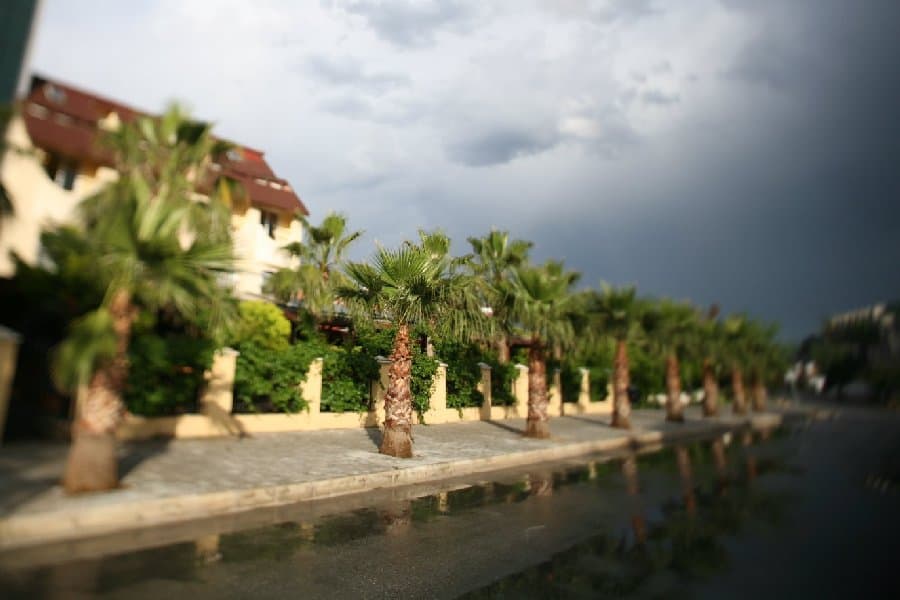 Турция — фото 224