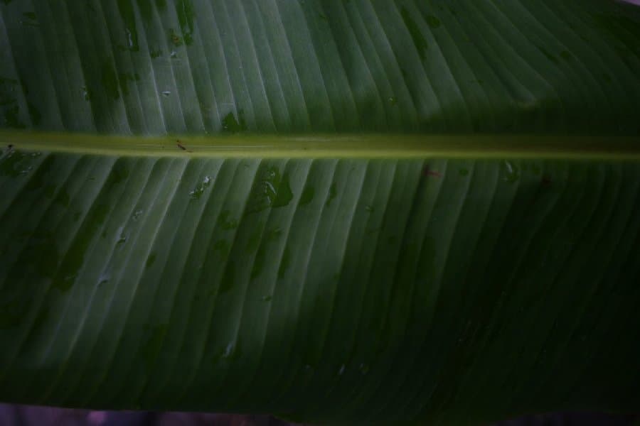 Турция — фото 225